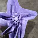 BAODINI Travel Essentials Mini Umbrella for Purse With Case Small Compact UV Sun Protection Lightweight Tiny Pocket Manual Open Close Umbrella for Women Kids and Men Fit Purse Backpack