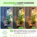 OSANI 24" Gooseneck Long Arm Grow Light, 48" Wide Coverage, 6000K Full Spectrum LED Grow Lights for Indoor Plants with Red Blue LEDs, 10-Level Dimmable, Auto Timer, USB & Adapter, Grow Lights Indoor