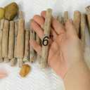 Natural Looking Wood Pieces in Driftwood Finish, 3-6 Inches Long, 1.1 Pound, Vase and Bowl Fillers