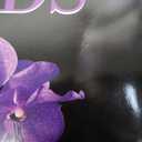 RED EMBER Orchids 2026 Wall Calendar 12 Month | 12" x 24" Open | Thick & Sturdy Paper | Holiday Gift | Flower Nature Calendar 2026