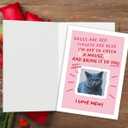 3 x Funny Cat Valentines Day Card - Roses Are Red Cat Card for Pet Owners (BT-158)