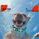 Reflective Dog Collar with AirTag Holder for Large Dogs Soft Nylon Blue Sized L