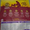 Wellness Complete Health Small Breed Adult Dry Dog Food, Wholesome Grain Kibble, Natural, Turkey and Oatmeal Recipe, 12 lb Bag