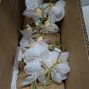 Dolly Parton White Artificial Orchid in Pink Ceramic Pot, 9.8x5.5x24 Inch