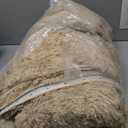 5x8 Living Room Rugs Fluffy Neutral Beige Area Rug,Modern Plush Non-Slip Soft Bedroom Shag Carpet for Book Room Office,Coffee Stain Resistant