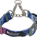 Leash Boss Martingale Collar for Dogs - Steel Chain | Reflective Nylon Dog Collar for Large Dogs, Medium and Small Dogs | No Pull Pet Training Collar Small