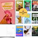Imperial Designs 40 Pack Funny Punny POSTCARDS (4"x6") - Say I Miss You, Hello, Thank You, Thinking of You with a Fun Animal Pun by Mail - Bulk Postcards for Parents, Grandparents, Summer Camp