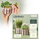 Lifelines FlowCrafts, Cord-Wrapped Planters - Create 2 Unique Planters with Cords in Multi-Colors, Leather Accents, Faux Plant Stems & Decorative Stones - Sensory Arts & Crafts Kit for Teens & Adults