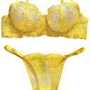 Lilosy Sexy Floral Embroidered Mesh Women Underwire Push Up Lingerie Set S