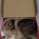 Ash Blonde Balayage Blonde Lace Front Wig, Middle Part 20 Inch HD Lace Wig, Dark Brown to Golden Blonde Highlight M Hairline Natural Fit Natural Wavy Ombre Synthetic Heat Resistant Fiber