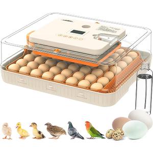 Incubators for Hatching Eggs with Automatic Egg Turning and Humidity Control, 56 Eggs Incubator, Auto Temperature Control, LED Egg Candler, Hatch Day Count, for Chicken, Duck, Goose, Quail, Parrot