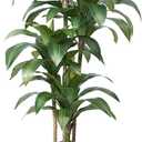 VeriNatural 6FT Artificial Dracaena Tree - UV Resistant Faux Tropical Plant, Potted Fake Tree with Taper Planter & Pebbles - Indoor Outdoor Greenery for Home, Porch, Living Room, Bedroom Decor, VN127 (Black)