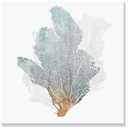 JAPO ART Delicate Coral Wall Decor for Bedroom Coastal Wall Art Home Decor Framed Sea Fan Pictures Nautical Prints Artwork for Bathroom Bedroom 16"x16"x3pcs