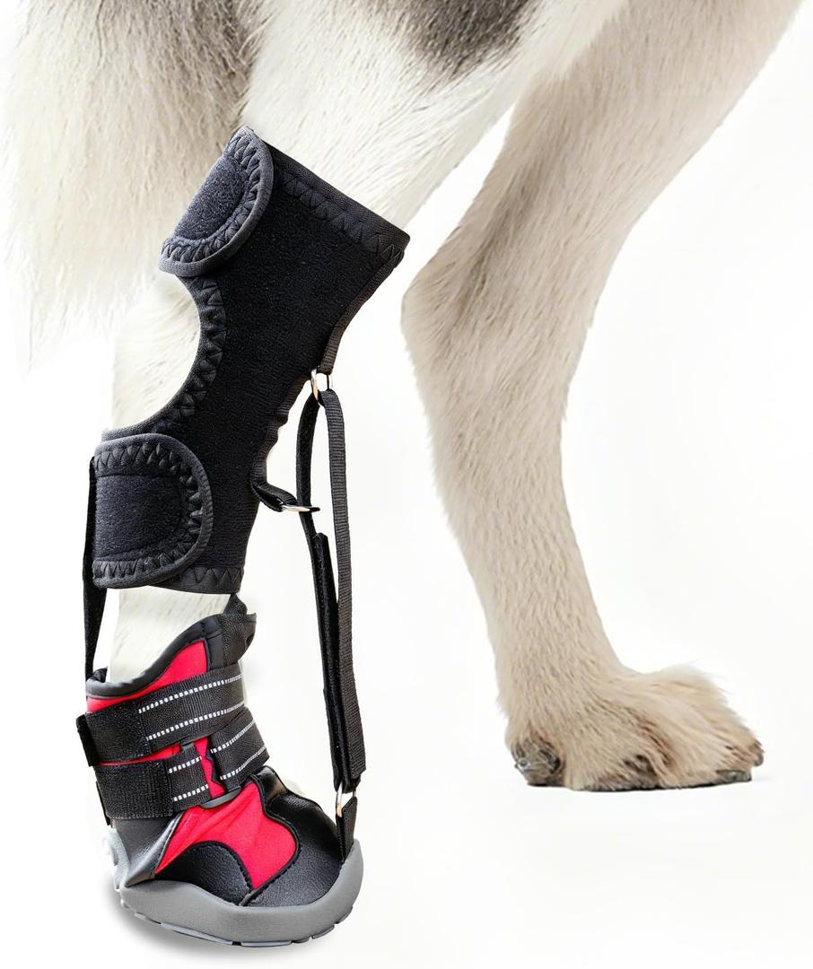 Toe Grips for Senior Dogs,Strap-On Drop Foot Brace for Dogs Dog Knee Pads,Corrective Dog Shoes to Safely Lift Toes for Foot Issues, Arthritis, and improving Walking gait in Dog(XL)