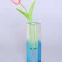 Acrylic Vase, Bud Vase for Centerpieces, Maximalist Decor Cute Flowers Vases for Modern Home, Office, Bedroom, Living Room, Dining Table (Fluorescent Green, Sky Blue)