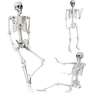 Wocst 5.4Ft/165cm Halloween Skeleton Full Body Life Size Human Bones with Movable Joints for Indoor Outdoor Halloween Props Decorations