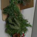 National Tree Company 9 ft Pre-Lit Colonial Fir Artificial Christmas Garland, Christmas Decoration with Red Berries, Pinecones, 50 Clear Lights, 180 Tips, Green