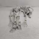 Lodou 5.4ft/165cm Life Size Skeleton,Giant Skeleton Full Body Realistic Bones with Movable Joints for Halloween Decorations Outdoor (Gray, 5.4Ft)