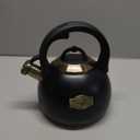Tea Kettle for Stovetop, Food Grade Stainless Steel Water Kettle, Tea Pot for Home & Kitchen, 3.1 Quart (Black)