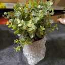 Coferset 2 Pack Small Fake Plants Eucalyptus Potted Artificial Plants for Shelf Desk Home Bathroom Farmhouse Room Coffee Table Decor (Sage Green)