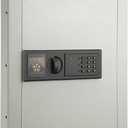 In-Wall Safe - Home or Business Safe with LED Keypad and 2 Manual Override Keys - Protects Cash, Jewelry, Passports, and More by Paragon Safes (Cream) (New Cream)