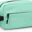 Haimont Freezable Snack Bag, Reusable Small Freezer Cooler Lunch Bag with Buckle Handle for Trip, Picnic, Office, On-the-Go, Mint Green