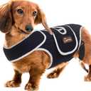 IVDD Dog Back Brace for Slipped and Herniated Discs - Back Brace for Dachshunds and Corgis, Ensuring Spinal Stability and Pain Relief S
