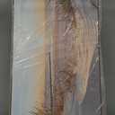 SD SOFT DANCE Canvas Wall Art Beach Picture: Coastal Sunset Painting Decor Ocean Seascape Artwork Sea Seaside Dunes Grass Print for Living Room Bedroom Bathroom 40 x 20 Inch