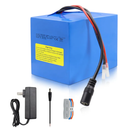 KBT 24V 8Ah Rechargeable Lithium Battery with Charger, Charging Cable, Cable Connector