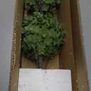 Nearly Natural 2ft. Eucalyptus Double Ball Topiary Artificial Tree