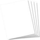 LITKO 8x10inch Polystyrene Flexible Craft Sheets | Plasticard Sheets | Modeling | Crafting | Scratch Building | Moldable | Displays | White (.100 Inch - 2 Pack) (.060 Inch - 4 Pack)