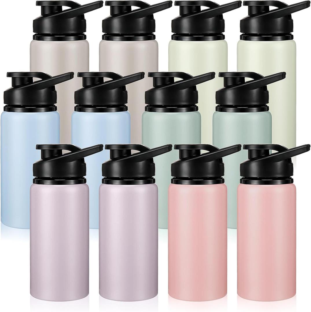 Domensi 12 Pack Aluminum Water Bottle Bulk Reusable Water Bottle, Lightweight Easy Carry Leakproof with Snap Lid Travel Bottles, for Gym Outdoor Sports Cycling Camping Fishing (20oz,Morandi Colors)