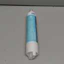 GE RPWFE Refrigerator Water Filter, Genuine Replacement Filter, Certified to Reduce Lead, Sulfur, and 50+ Other Impurities, Replace Every 6 Months for Best Results, Pack of 1