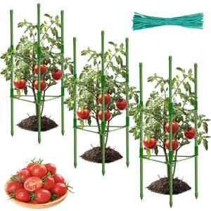 ZeeDix Tomato Cages for Garden 38 inches, Tomatoes Plant Stakes & Plant Support, Tomato Trellis for Pots Climbing Vegetables Flowers Plants (3 Pack - Tall Upto 38 inches) ZeeDix Tomato Cages for Garden 38 inches, Tomatoes Plant Stakes & Plant Support, Tomato Trellis for Pots Climbing Vegetables Flowers Plants (3 Pack - Tall Upto 38 inches)