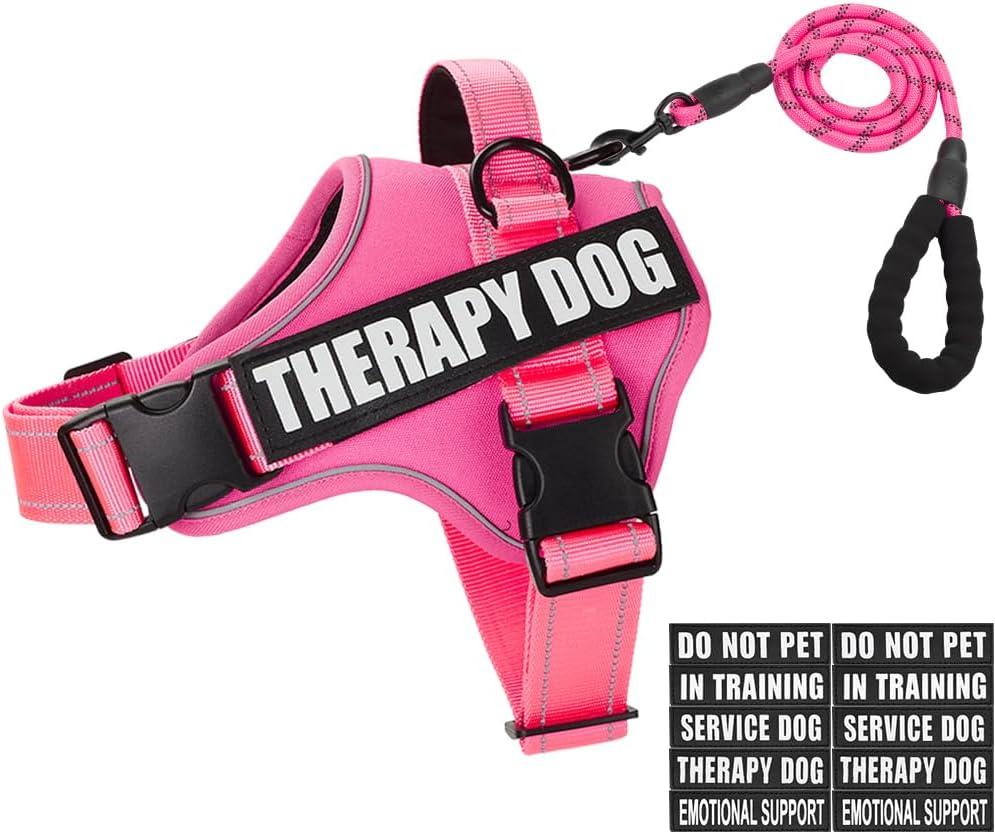 Dog Vest Harness and Leash Set, Animire Reflective Service Dog Vest with 10 Patches, 3 Rings No Choke Pet Vest for Leash Placement, in Training Dog Harness for Small Medium Large Dogs(Hot Pink,S)