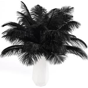 THARAHT Black Ostrich Feathers 24pcs Natural Bulk 8-10Inch 20cm-25cm for Crafts Wedding Party Centerpieces Halloween and Home Decoration Feathers THARAHT Black Ostrich Feathers 24pcs Natural Bulk 8-10Inch 20cm-25cm for Crafts Wedding Party Centerpieces Halloween and Home Decoration Feathers
