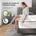 LETMOON 8 Inch Hybrid Twin Mattress in a Box, Medium Firm Pocket Spring