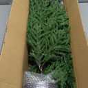 4FT Pre-Lit Artificial Norfolk Pine Christmas Tree  Realistic Potted Tree with 100 LED Lights & 8-Function Battery Box, Pre-Assembled Faux Holiday Dcor for Indoor Use (2)