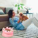 Cat Puzzle Feeder Slow Food Bowl Interactive Slow Feeder Bowl for Indoor Cats, Treat Dispensing Enrichment Toy,Mental Stimulation and Boredom Relief (Pink)