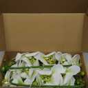 Htmeing 38 Inch Artificial Phalaenopsis Flowers Branches Real Touch (Not Silk) Orchids Flowers for Home Office Wedding Decoration,Pack of 2 (Green White)