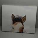 JLA Home It's in the Eyes Printed Canvas
28 x 22 in