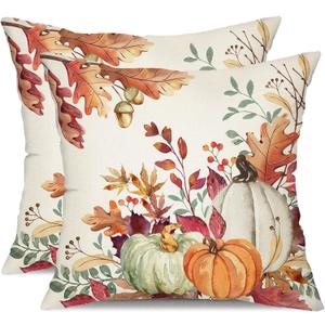 DFXSZ Fall Pillow Covers 20x20 inch Set of 2 Orange White Pumpkin Fallen Leaves Decorative Outdoor Throw Pillow Covers Autumn Thanksgiving Farmhouse Decoration for Home Couch TH27-A20 (Multicolor)