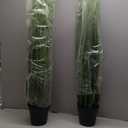 Faux 4ft 2-Pack Horsetail Reed Grass with Green Spikes, 48in Tall Indoor Outdoor Fake Grass in Pot, Home Office Decorative Artificial Plant & Greenery, Wedding Decor Bristlegrass