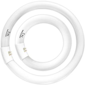 FC8T9/CW 22W and FC12T9/CW 32W Cool White Set, 8 inch T9 22 Watts Circular Light Bulbs, 12 inch 32 Watts Circline Fluorescent Bulb Round Ring Bulb CRI 80, G10q Prong