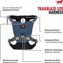 Tuff Pupper All-Day Wear Dog Harness | for Walking, Trail Running, Hiking | Front & Back Leash Clips | Reflective Trim | Easy On/Off Buckles | Lightweight Breathable | No Pull Design (XXS, Blue)