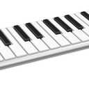 ESI Xkey 37 Ultra-Thin MIDI Controller Keyboard, Apple-Style Aluminum Body, Polyphonic Aftertouch, Ultra-Low Latency, 37 Full-Size Smart Velocity-Sensitive Keys, USB-C Plug & Play(Includes Xcable)