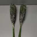 Dried Flowers Bouquet, Dry Caspia Flower Bundle, Floral Lavender, Babys Breath Flowers Arrangements for Wedding Decor, Door Wreath, Home Party Table Vase Decoration (Green, 17''), 2 pcs