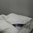 Bedsure Comforter Duvet Insert - Quilted Comforters Queen Size, All Season Duvet, GentleSoft Down Alternative Bedding, with 8 Tabs, Gifts for Women/Men, White, Queen 88 x 88 Inches
