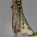Boho Decor Bouquet - Artificial Flowers and Pampas Grass Decor kit,Mix Dried Flower Arrangement Bunny Tail Home Table Rustic Farmhouse Bedroom Decor (White&beige)