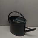 2.5 Gallon Dark Green Metal Watering Can Primary Colors Nozzle for Plants and Garden with Removable Spout, Made of Galvanized Iron